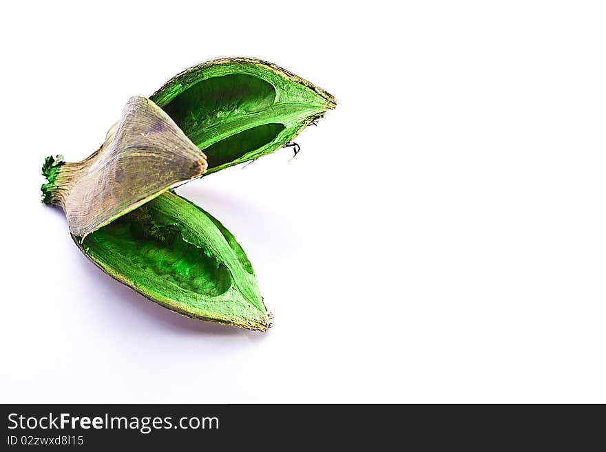 Old green dry fruit on white background