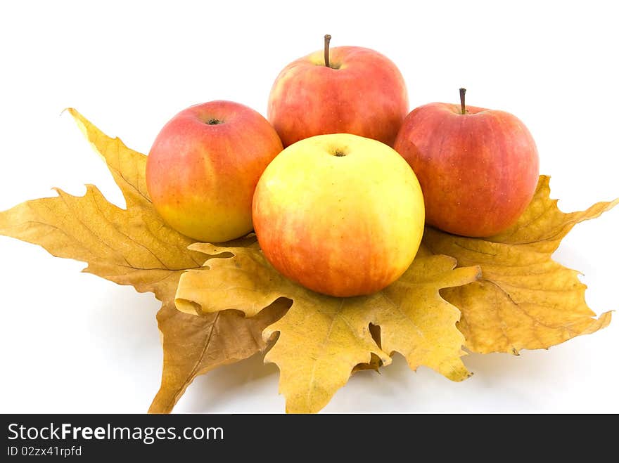 Ripe apples on autumn leaf