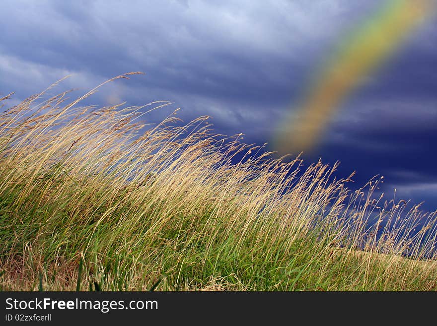 Dramatic landscape under a cloudy sky in autumn. Dramatic landscape under a cloudy sky in autumn