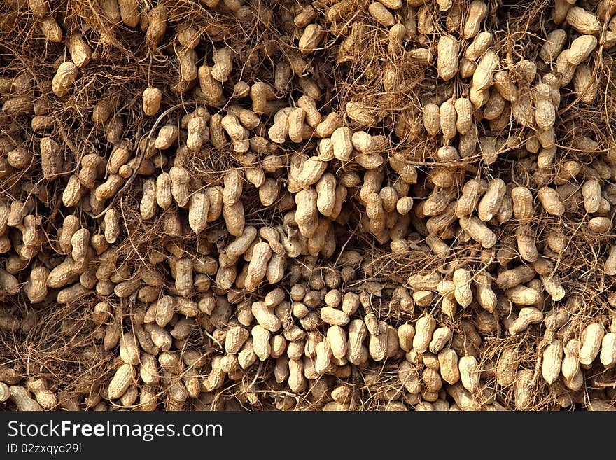 Close Up Of A Pile Of Peanut.