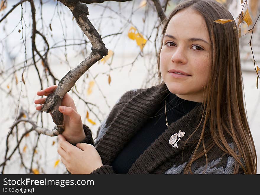 Portrait of brunette girl in autumn park with leaves next to birch. Portrait of brunette girl in autumn park with leaves next to birch.