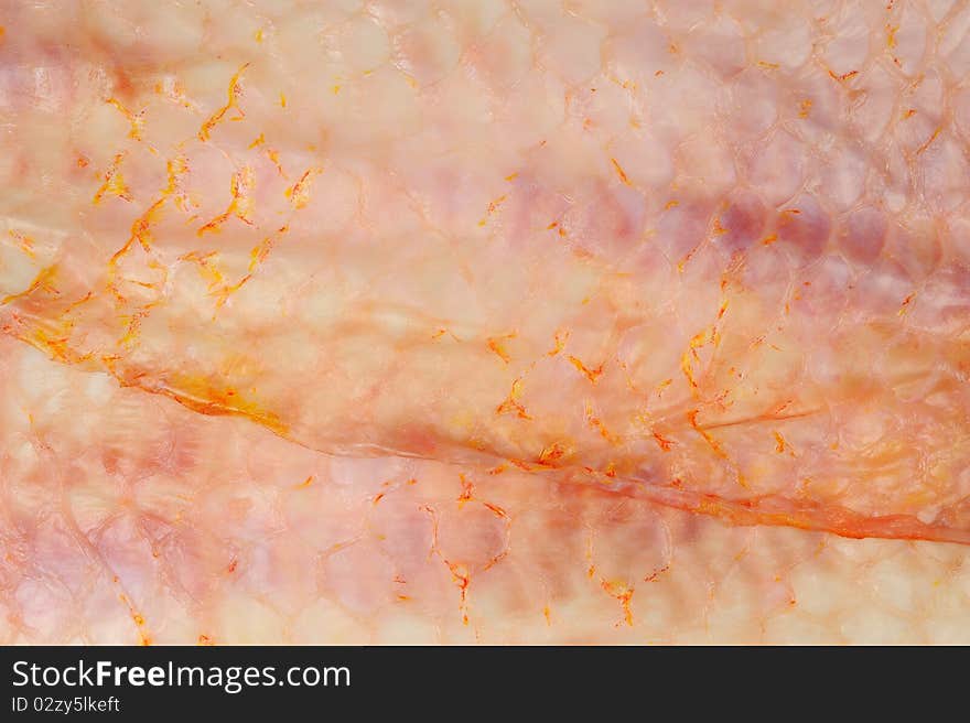 Fish skin red tilapia textures background.