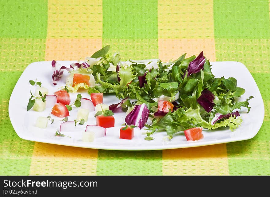 Various salad leaves with tomato, radish and cucumber. Various salad leaves with tomato, radish and cucumber