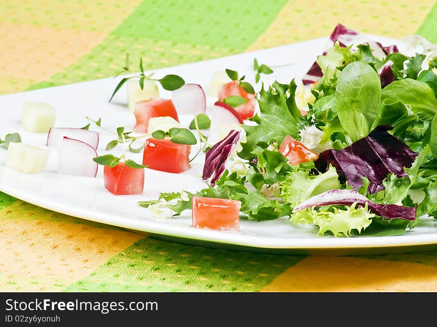 Various salad leaves with tomato, radish and cucumber. Various salad leaves with tomato, radish and cucumber