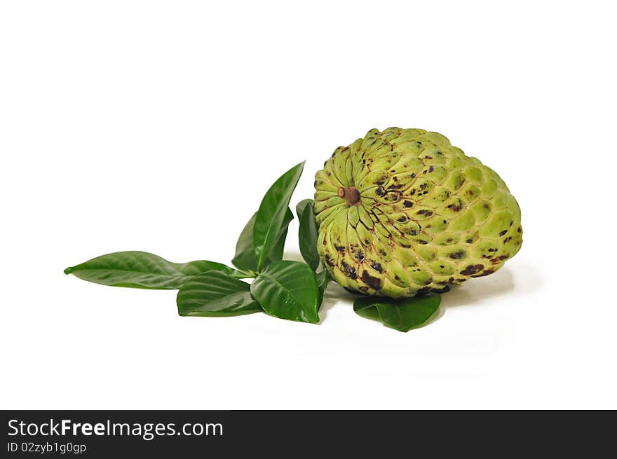 A fresh custard apple on the white background