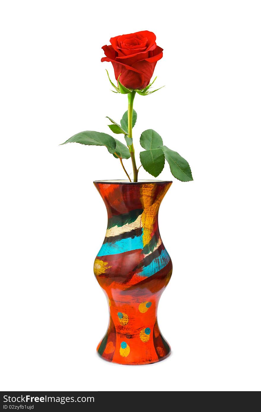 Red rose in vase