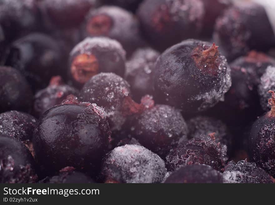 Bunch of frozen black currant.