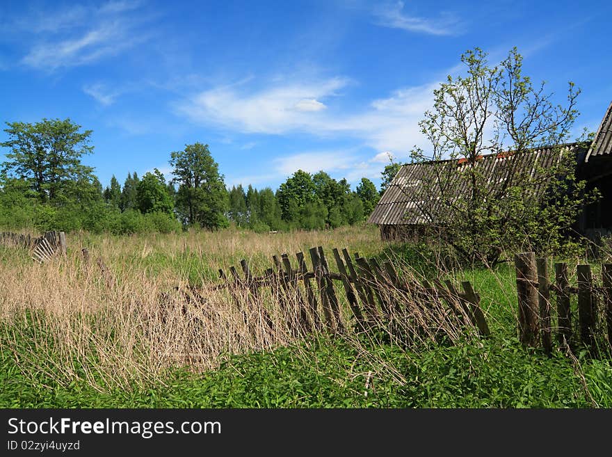 Old fence in green herb