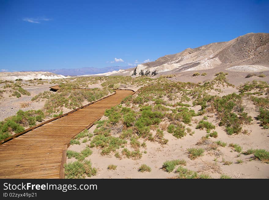 Death Valley Boardwalk Salt Creek