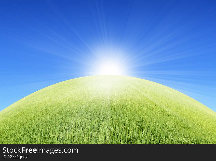 Grassland in  sunny day