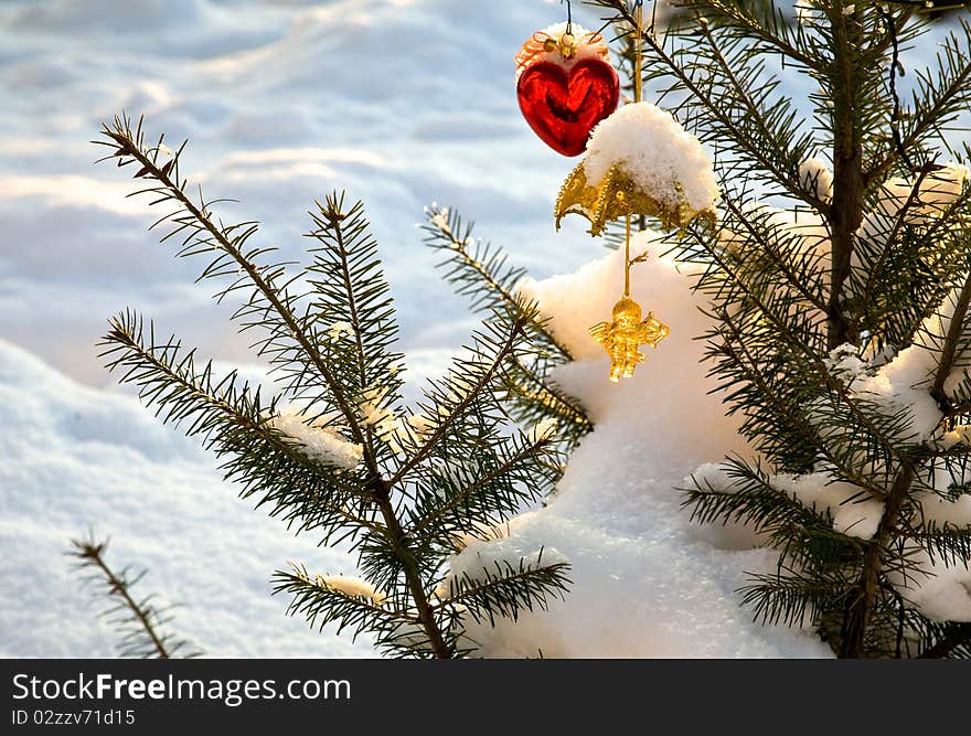 Christmas-tree decorations on tree under snow. Christmas-tree decorations on tree under snow