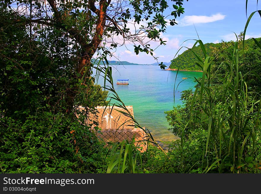 Seaview trough the plants