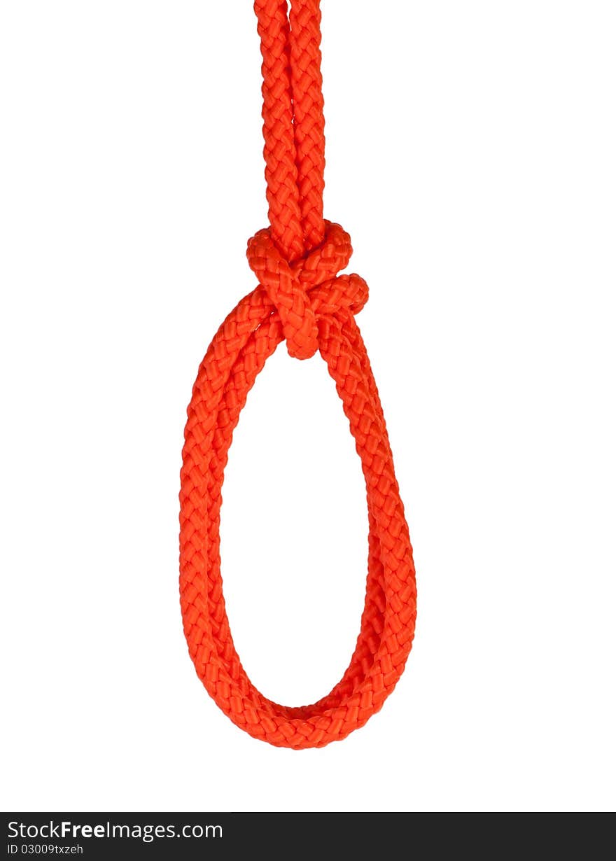 Noose isolated on white. Noose made of rope. Stock image.