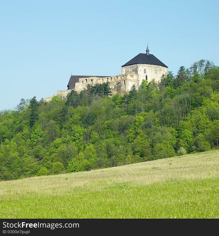 Tocnik Castle