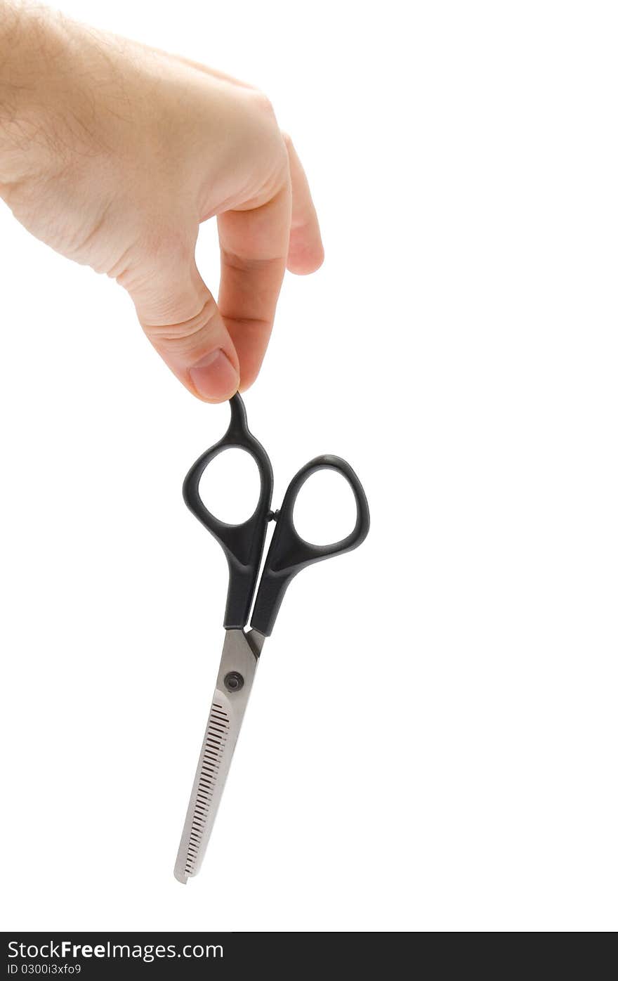 Clipper in hand on white background