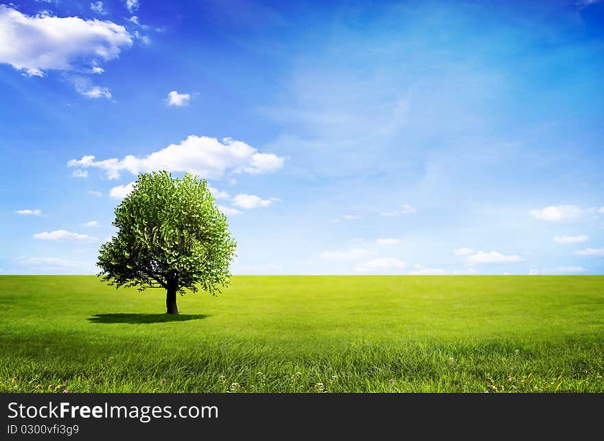 Landscape with a green tree