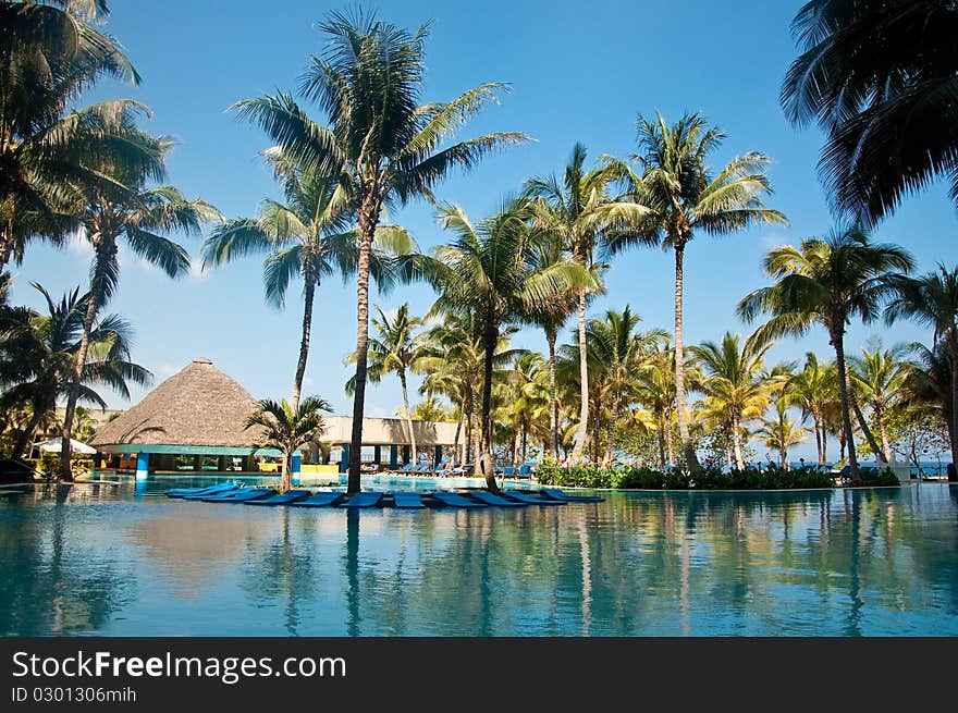 Gorgeous swimming pool with palm trees