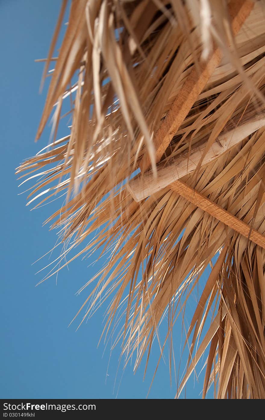 Beach umbrella