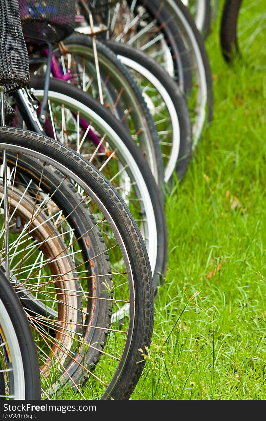 Bicycle parking in the park. Bicycle parking in the park