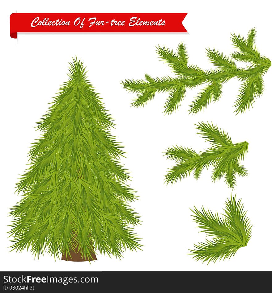 Collection Of Tree Elements. Vector