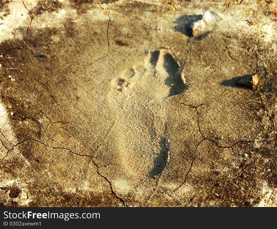 Footprint