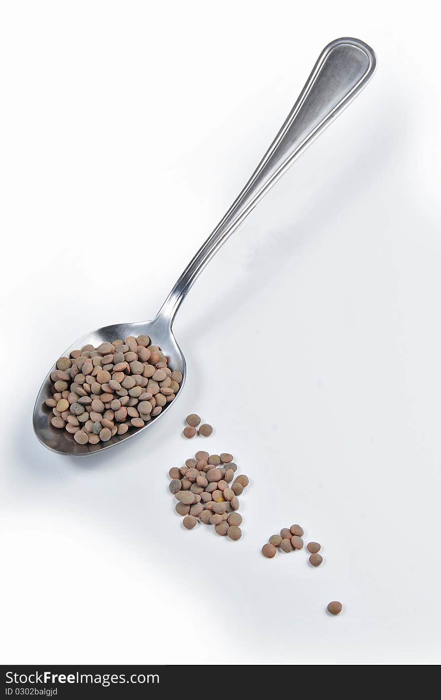 Lentils omp 018