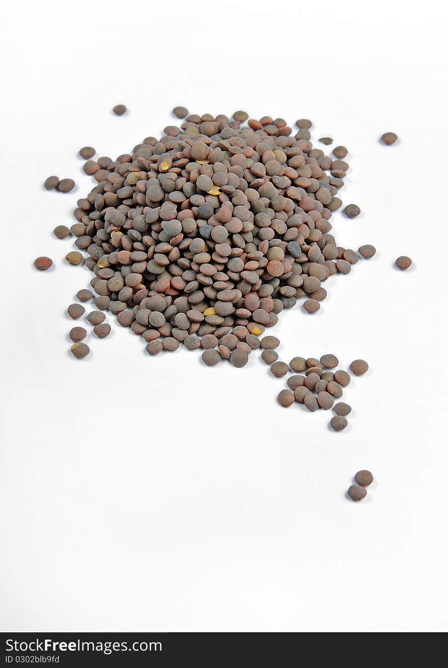 Lentils Omp 019