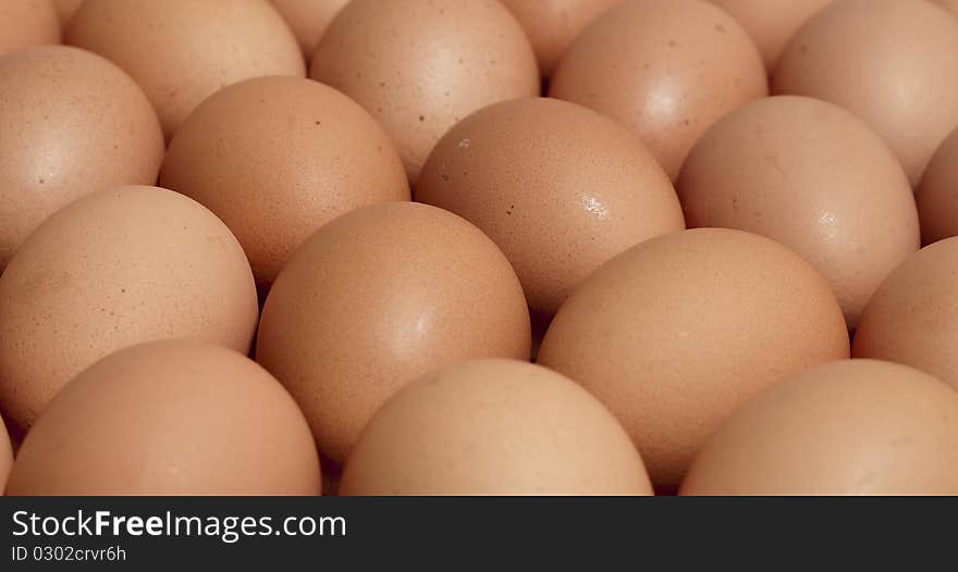 Eggs