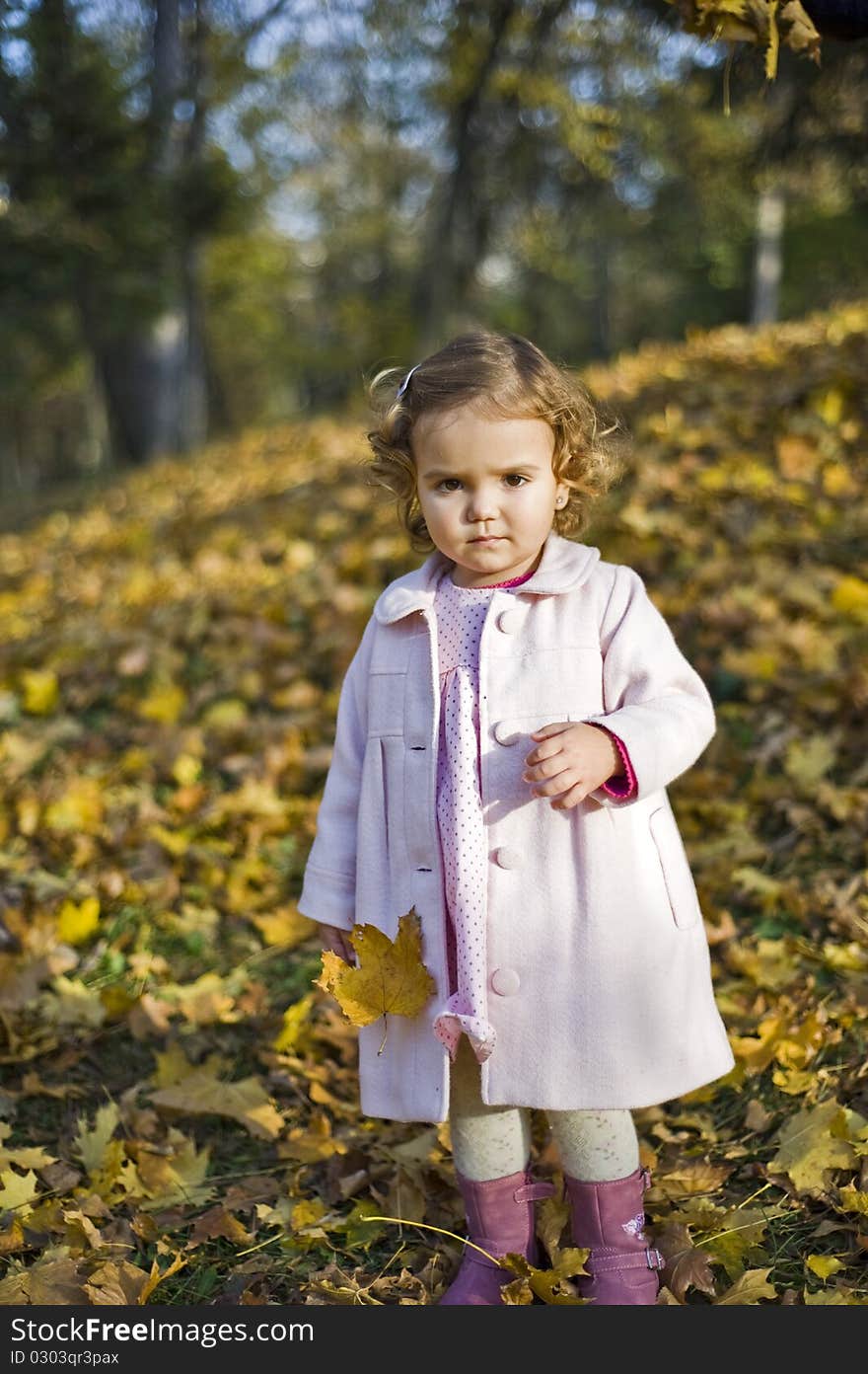 Portrait with little girl in autumn in the park with leaves and trees in the background