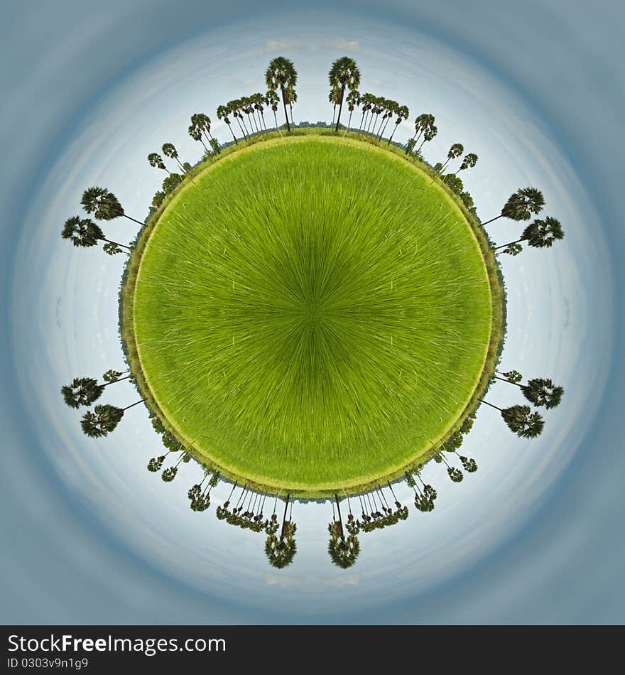 The circle image of rice field