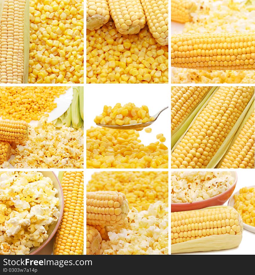 Fresh corn, preserved corn and popcorn collage