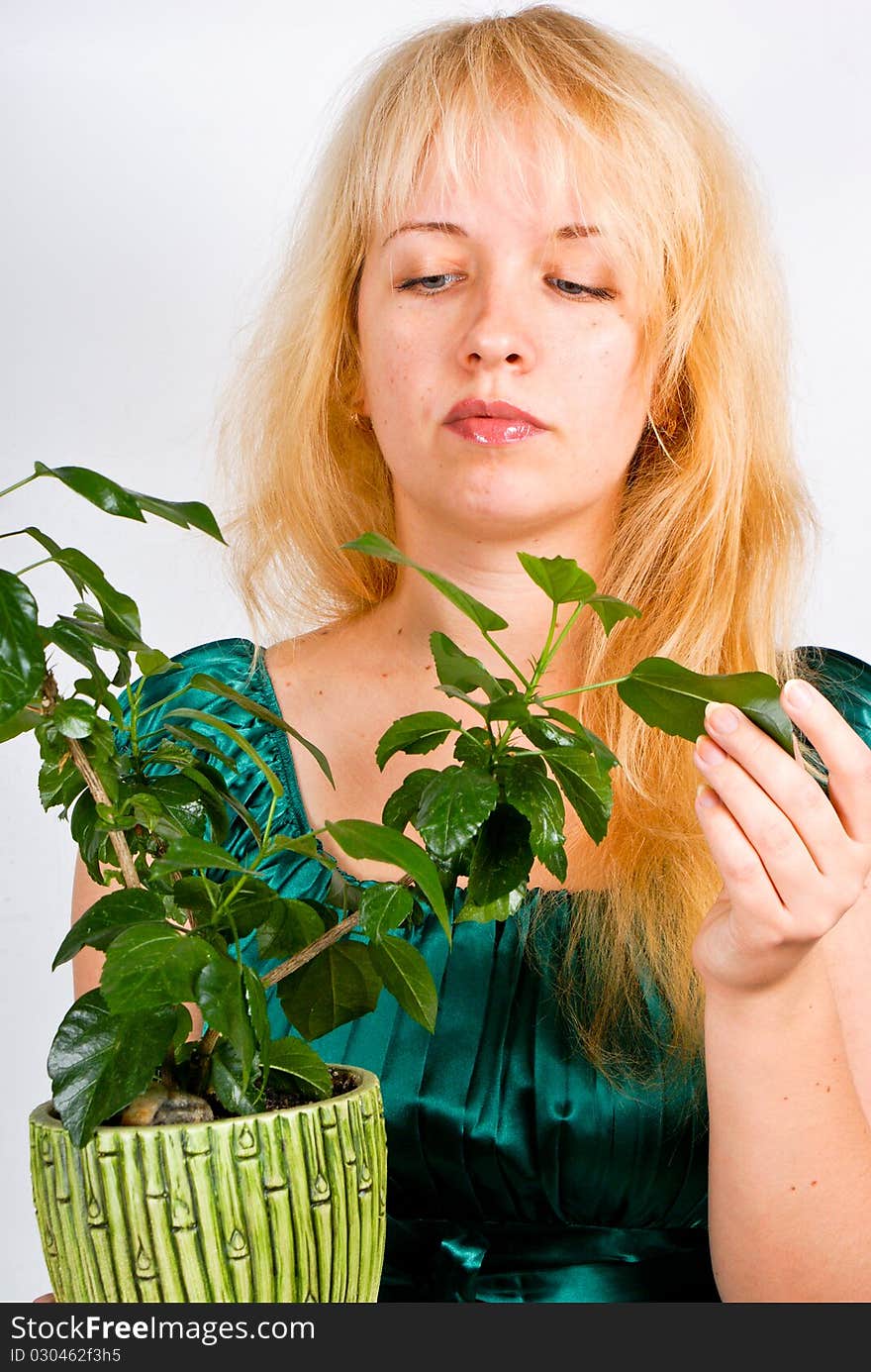 Young girl with the small plant. Young girl with the small plant