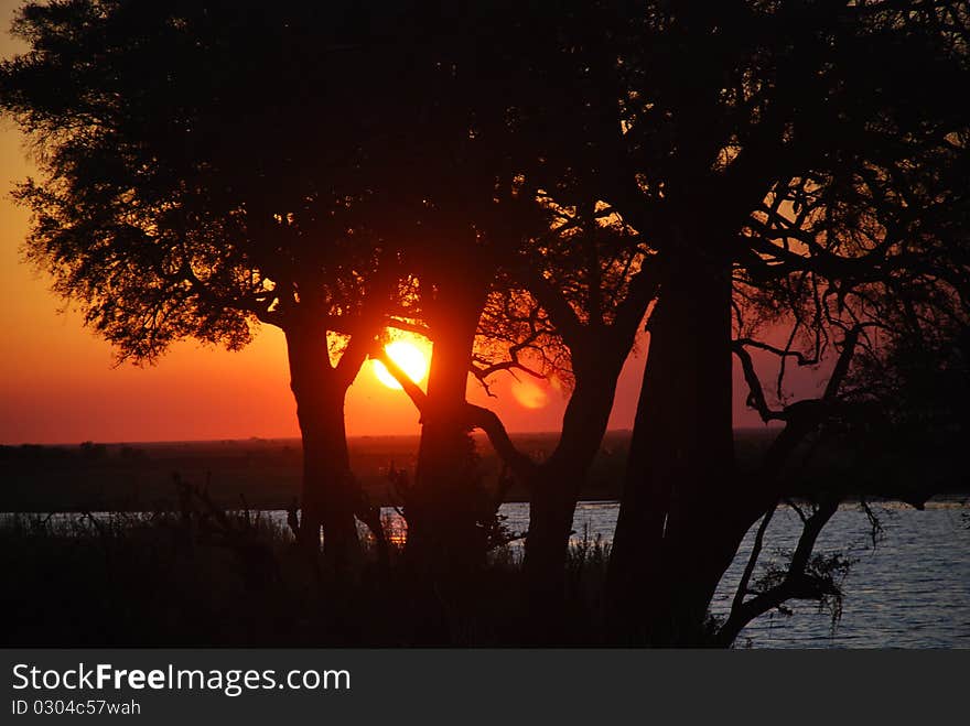 Sunset in chobe national park