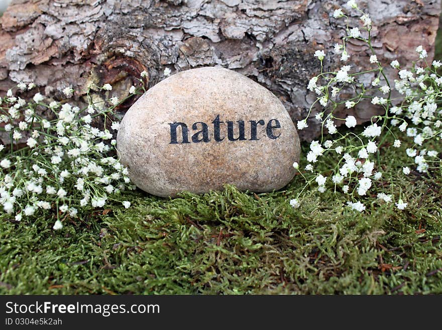 Stone with the inscription Nature