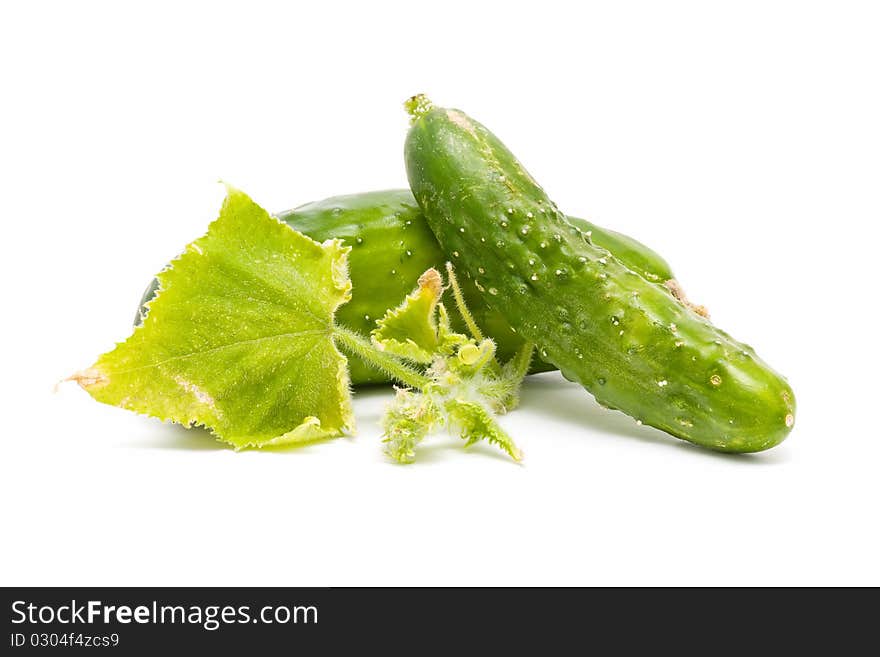 Ecological cucumbers isolated on white background