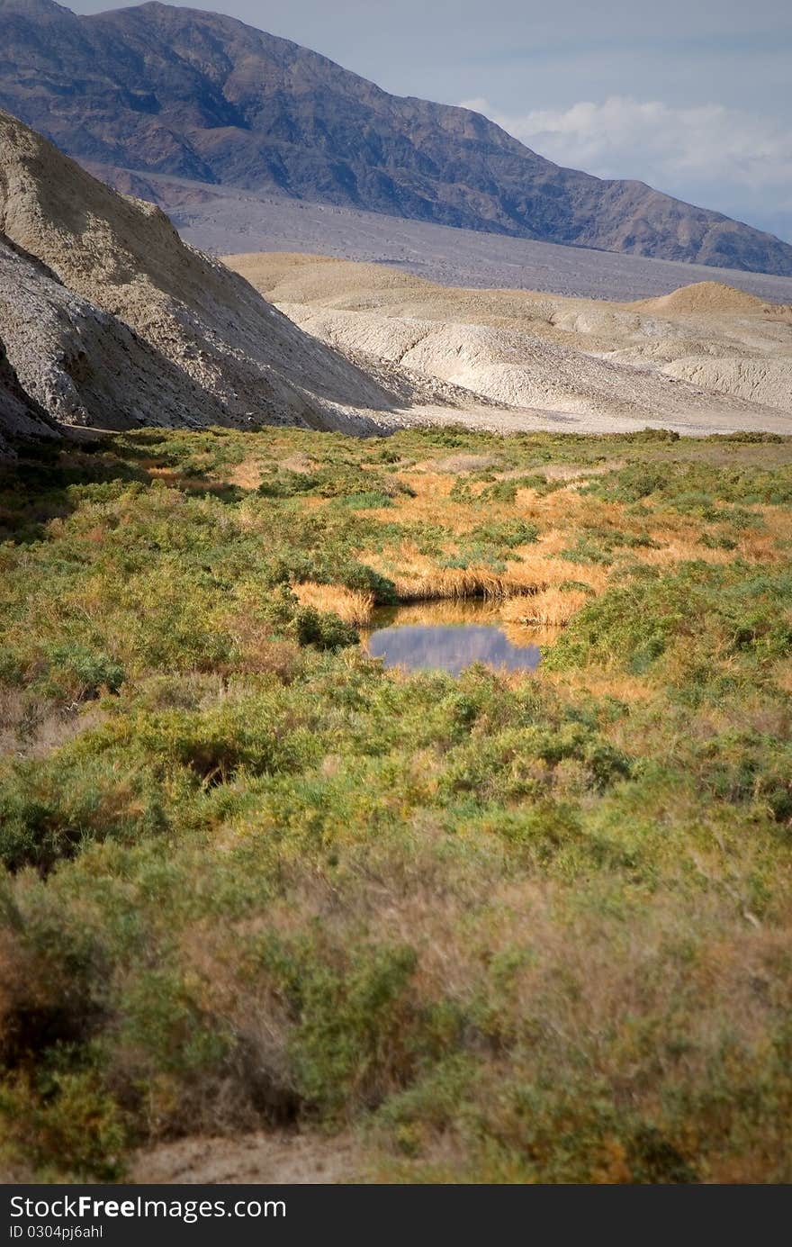 filed and water in Death Valley, California