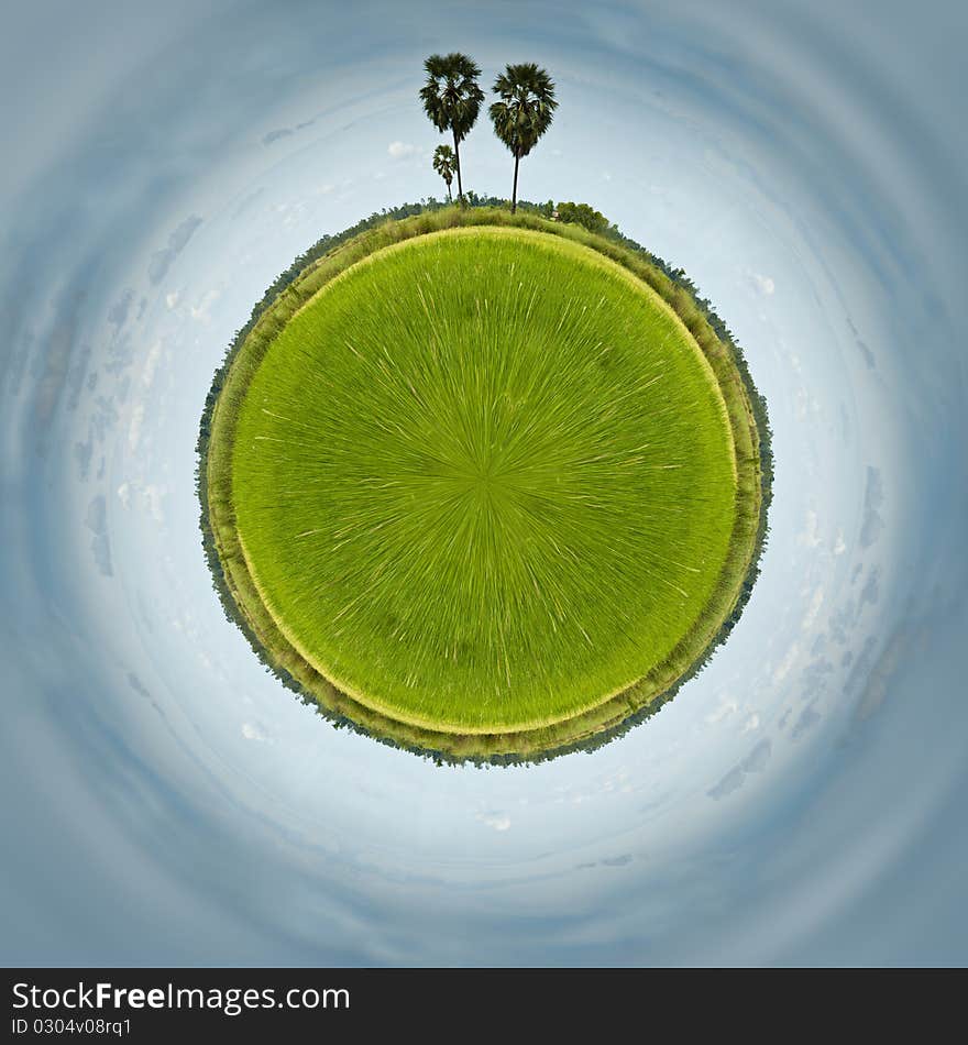 The circle image of rice field