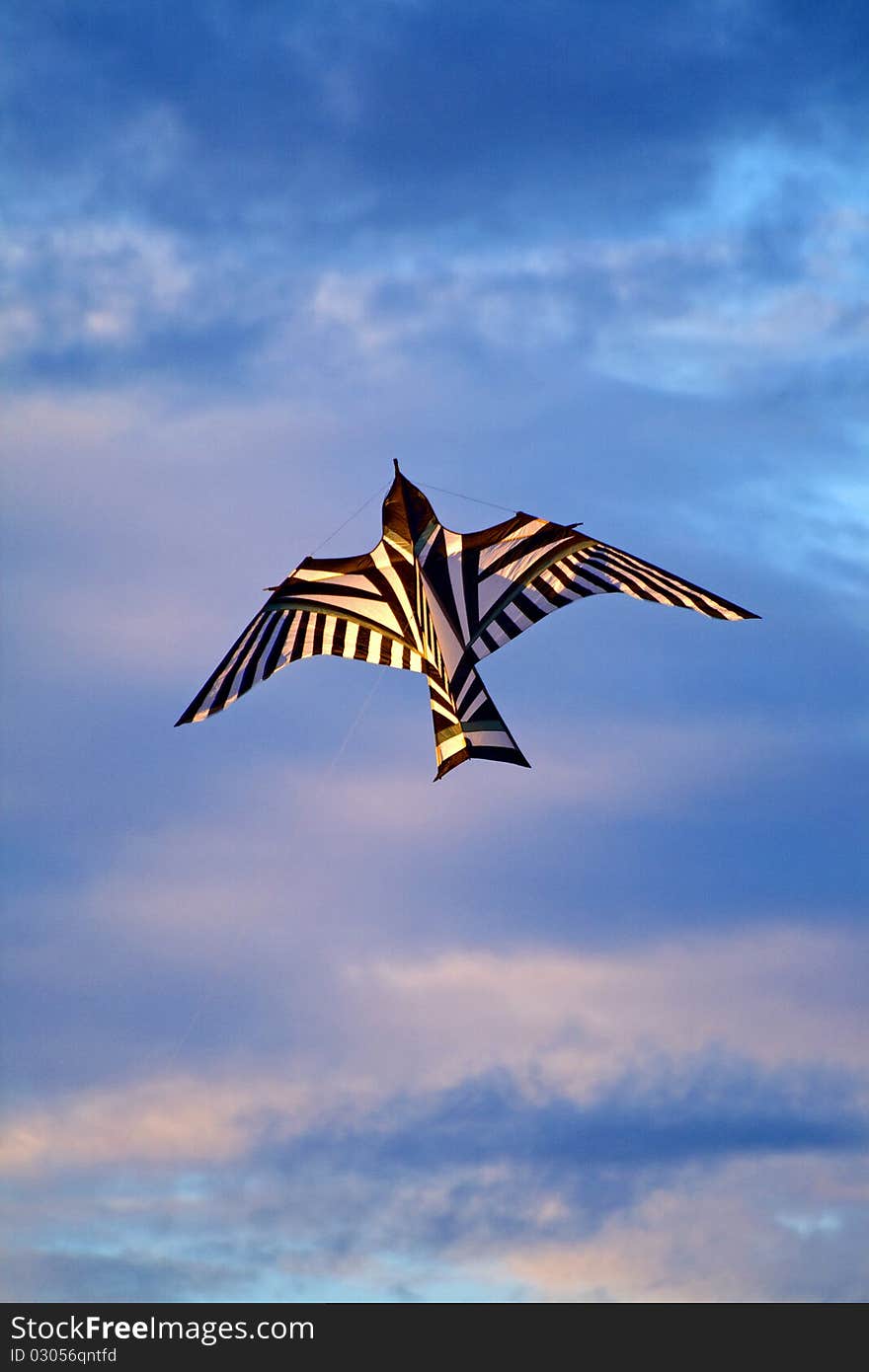 Kite flying over the blue cloudy sky