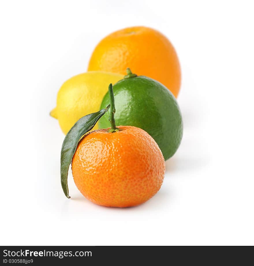 Citrus fruits isolated on white background