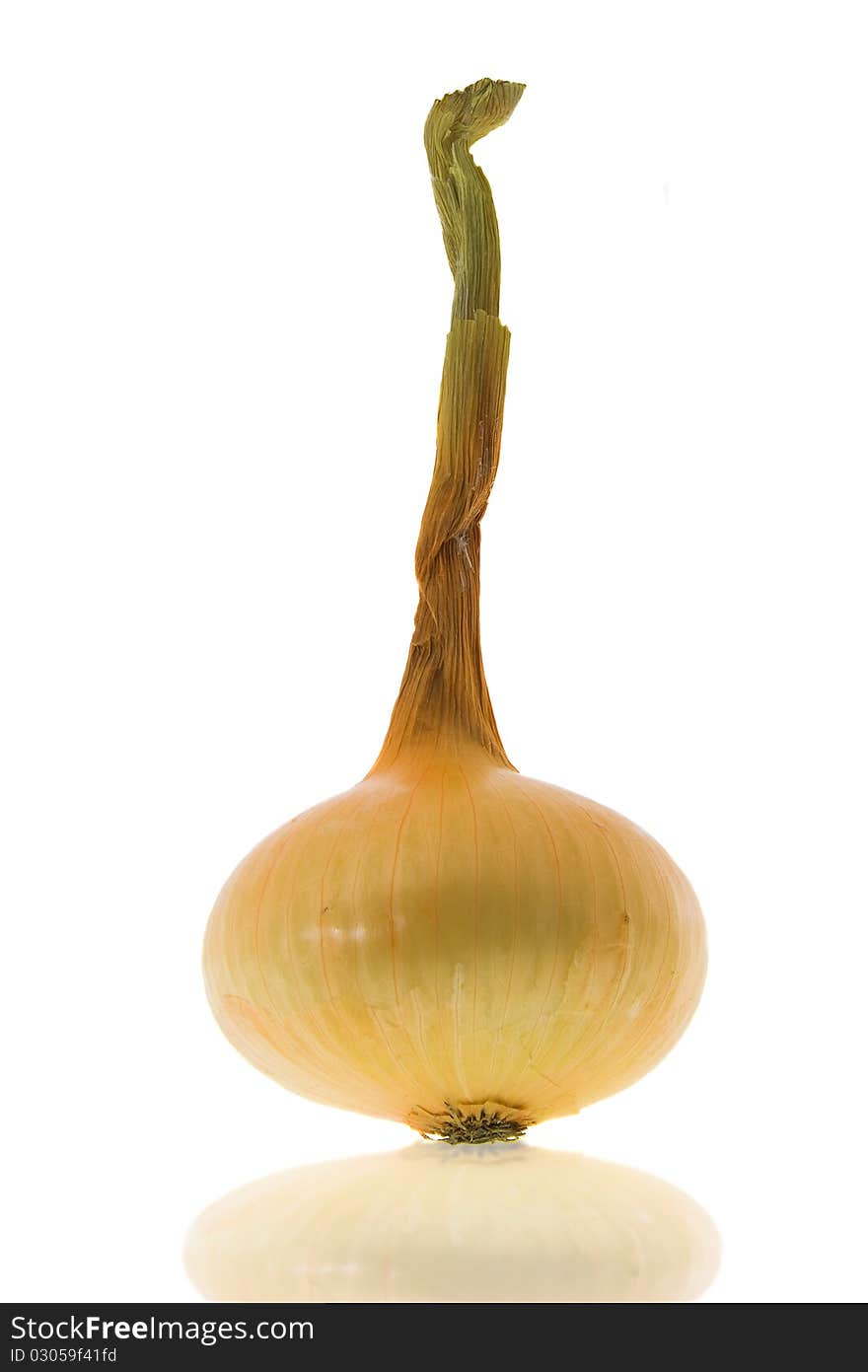 Mature onions