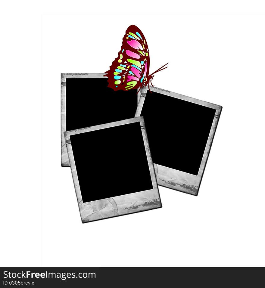 Photo frames with butterfly decoration