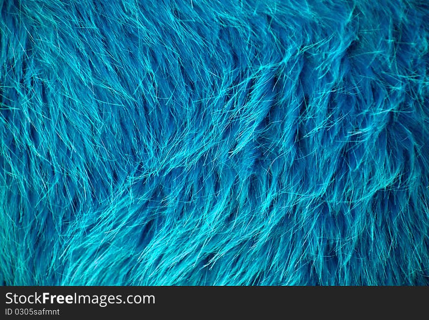 Photo of close up fur blue. Photo of close up fur blue