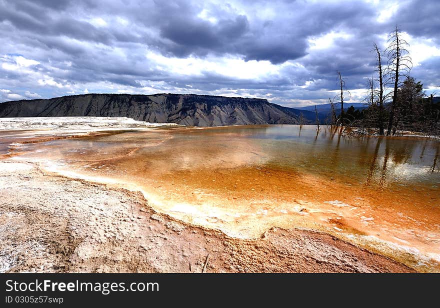 Mammoth hot springs