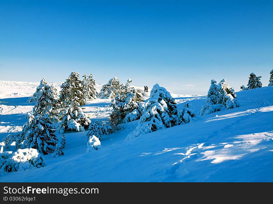 Beautiful view an a snowbound valley. Beautiful view an a snowbound valley