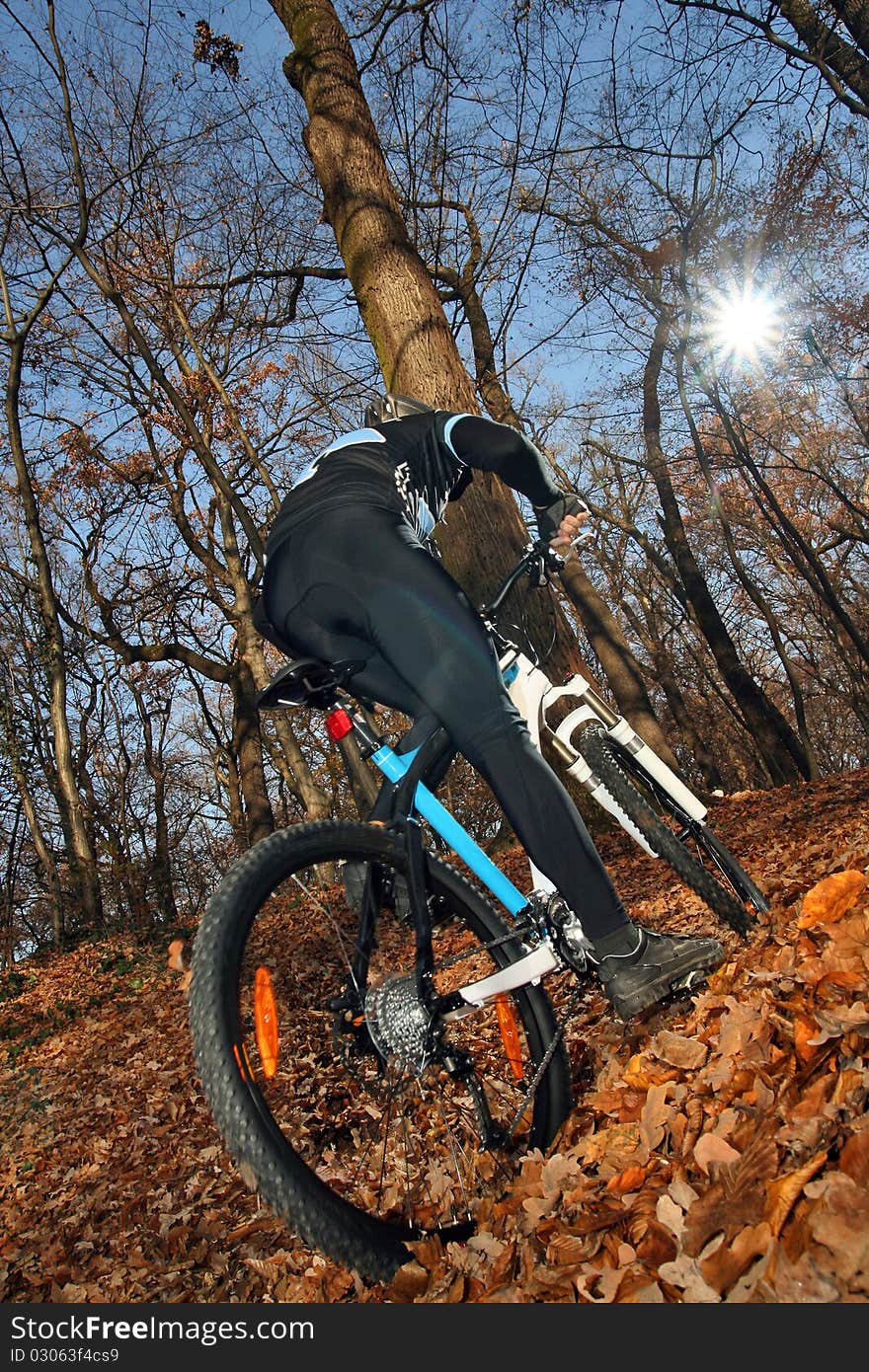 Mountain Cyclist