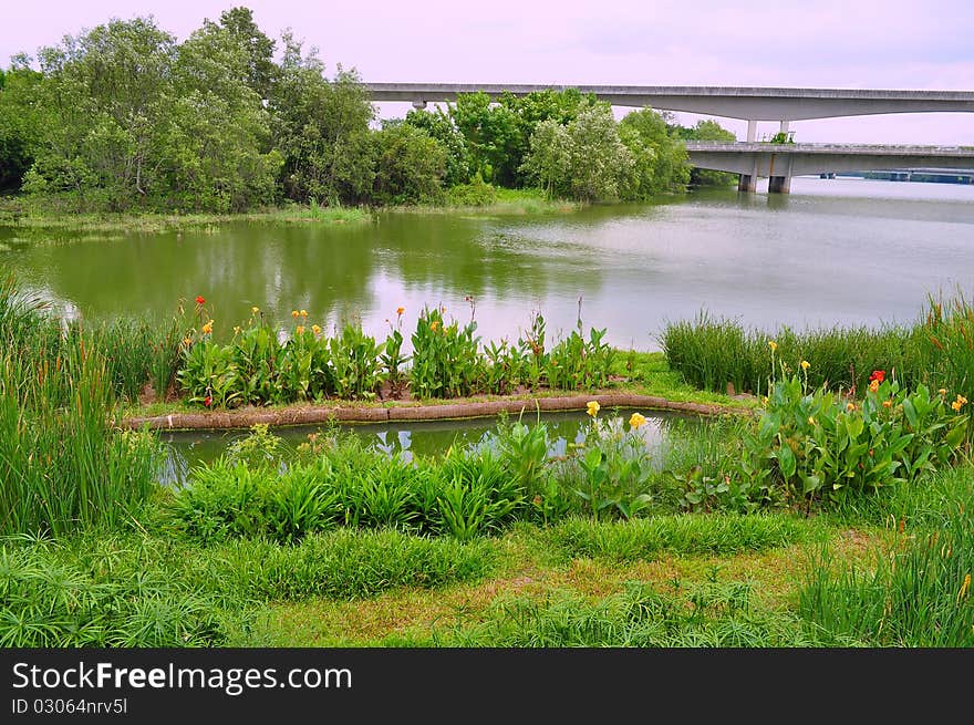 A River With Floating Garden And Lush Greenery