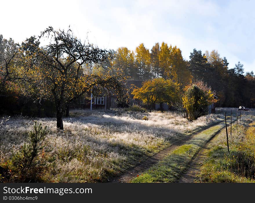 Frosty grass in front of house fall time in Sweden. Frosty grass in front of house fall time in Sweden