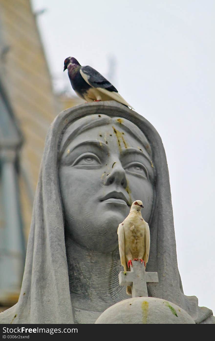 Pigeons sitting on Mother Mary's statue. A white pigeon is seen sitting above th cross symbolising peace. Pigeons sitting on Mother Mary's statue. A white pigeon is seen sitting above th cross symbolising peace.