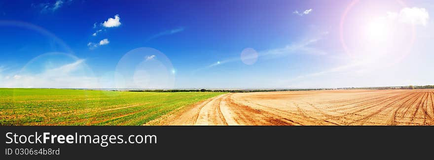 Agricultural fields. Spring sunny landscape. Agricultural fields. Spring sunny landscape