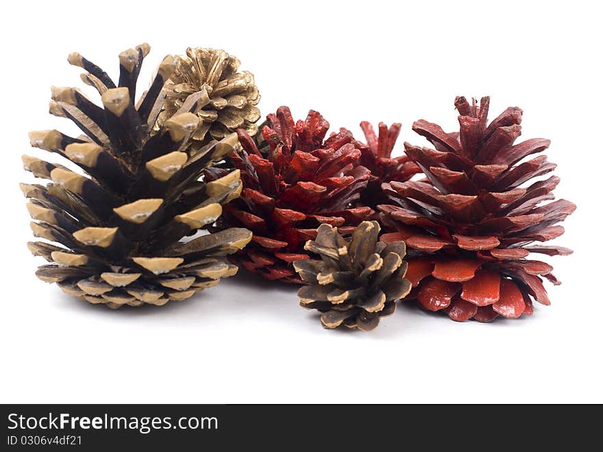 Pine Cones